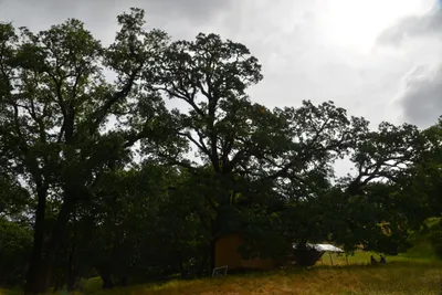 DSC_6833 (Large).JPG